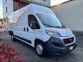 Fiat Ducato MAXI 35 XLH3 2.3 Multijet 130cv 6M Bianco - thumbnail 4