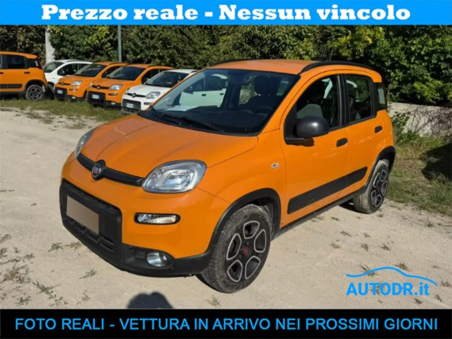 Fiat Panda 0.9 TwinAir Natural Power City Life Radio Touch Orange - 1