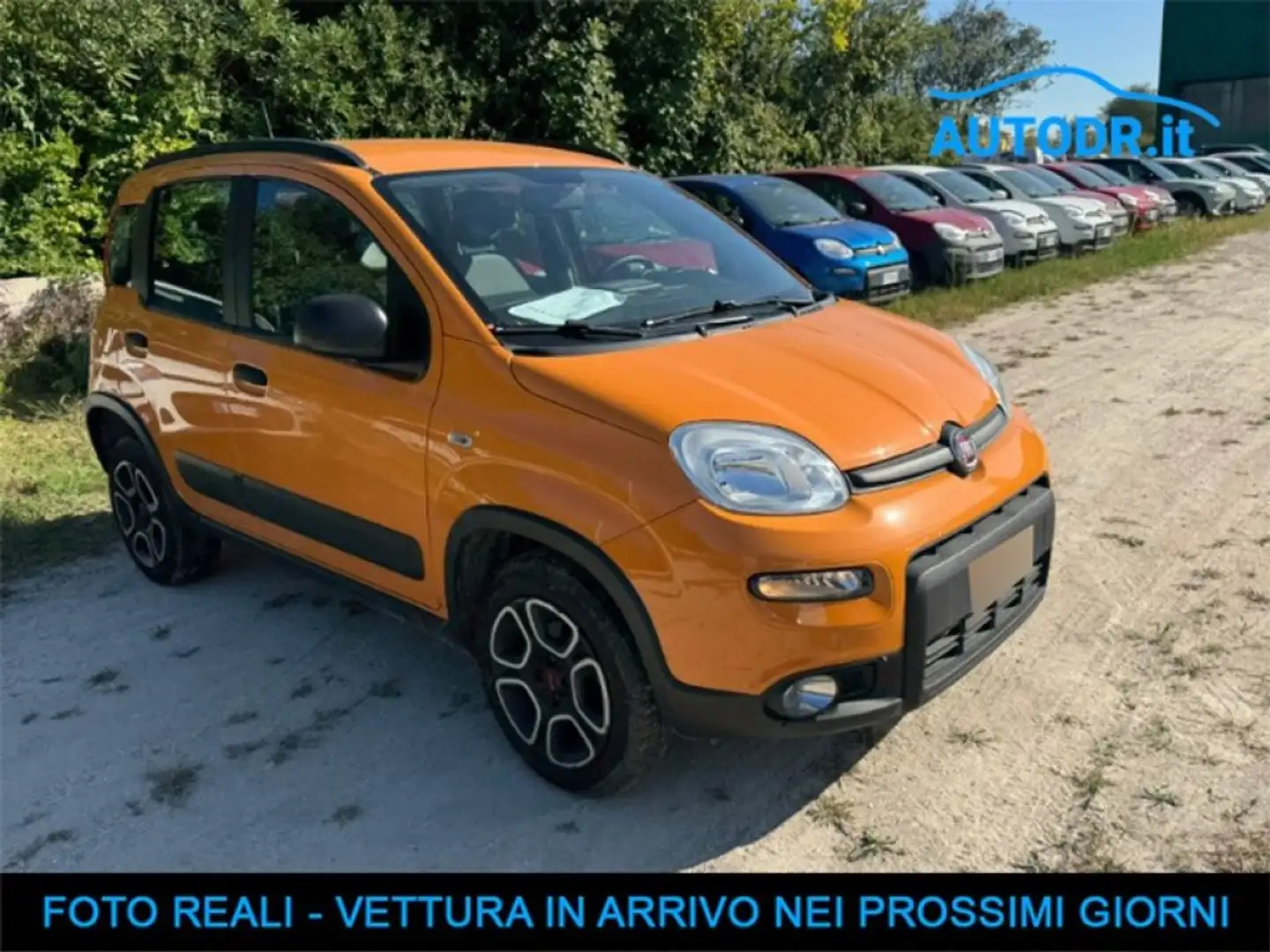 Fiat Panda 0.9 TwinAir Natural Power City Life Radio Touch Orange - 2