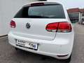 Volkswagen Golf VI 1.6 TDI Match *19%MWST*SHZ*KLIMA* Wit - thumbnail 21