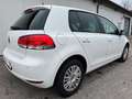 Volkswagen Golf VI 1.6 TDI Match *19%MWST*SHZ*KLIMA* Wit - thumbnail 8
