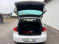 Volkswagen Golf VI 1.6 TDI Match *19%MWST*SHZ*KLIMA* Wit - thumbnail 24