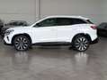 Renault Austral Austral Mild Hybrid 160 CV Auto Techno Wit - thumbnail 9