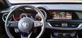 Alfa Romeo Stelvio Stelvio 2023 2.2 t Super rwd 160cv auto Rouge - thumbnail 18
