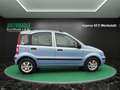 Fiat Panda 1.2 8V Dynamic~KLIMA~SERVO~ZV~DACHREHLING~el.FH~In Blauw - thumbnail 5