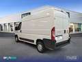 Fiat Ducato 35 L3H2 Nat.Pow(100kW) EU6 Dtemp GNC - Blanco - thumbnail 5