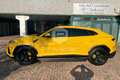 Lamborghini Urus Urus 4.0 Gelb - thumbnail 8