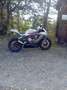 MV Agusta 800 EAS ABS Bianco - thumbnail 10