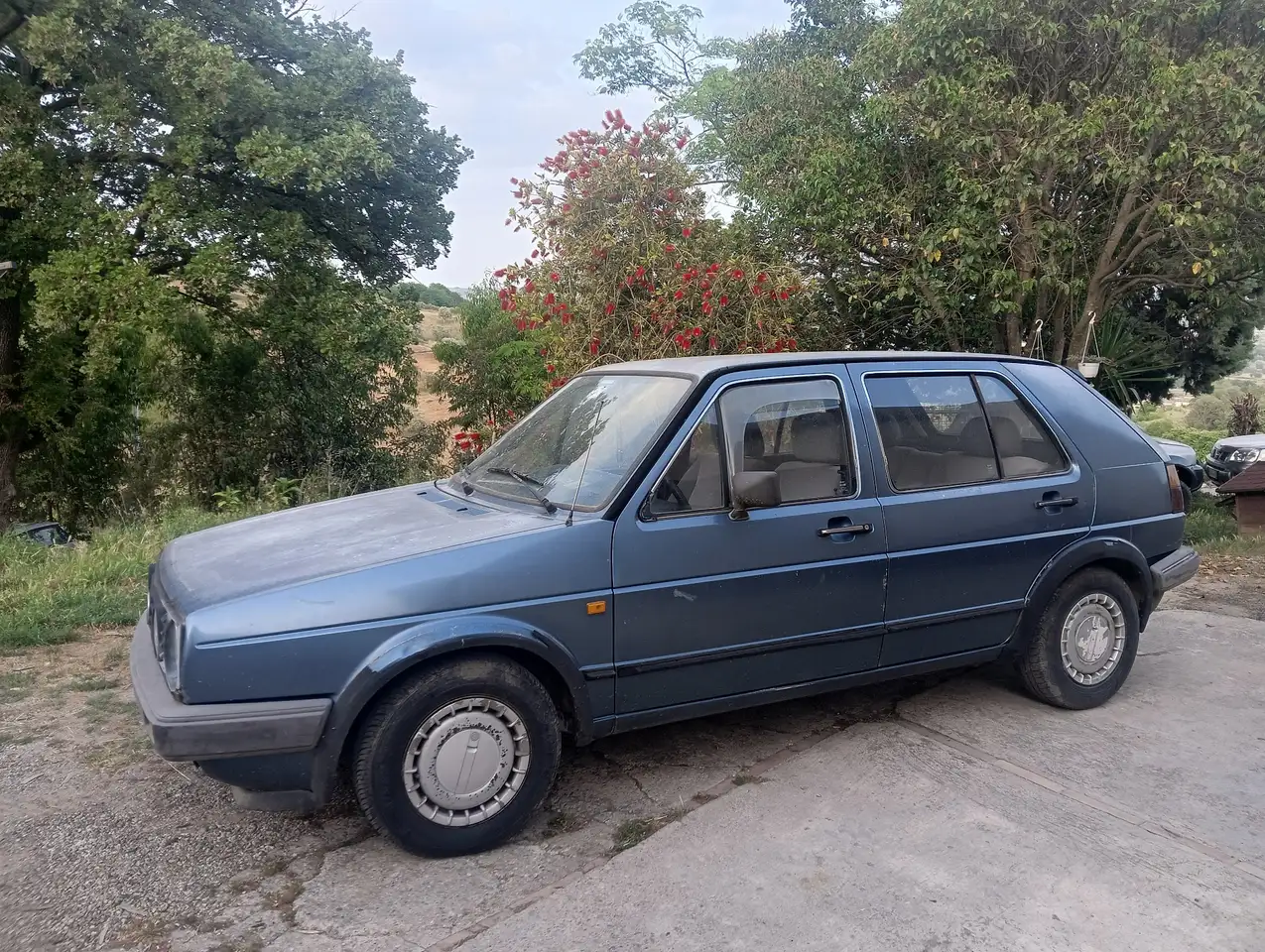 Volkswagen Golf 5p 1.6d GL my83, foto 1