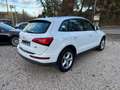 Audi Q5 2.0 TDI 190 QUATTRO S TRONIC 7 Weiß - thumbnail 3