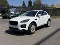 Jaguar E-Pace 2.0DI4 D180 S AWD Aut. LED PDC Kamera Sitz&Lenk... Weiß - thumbnail 31