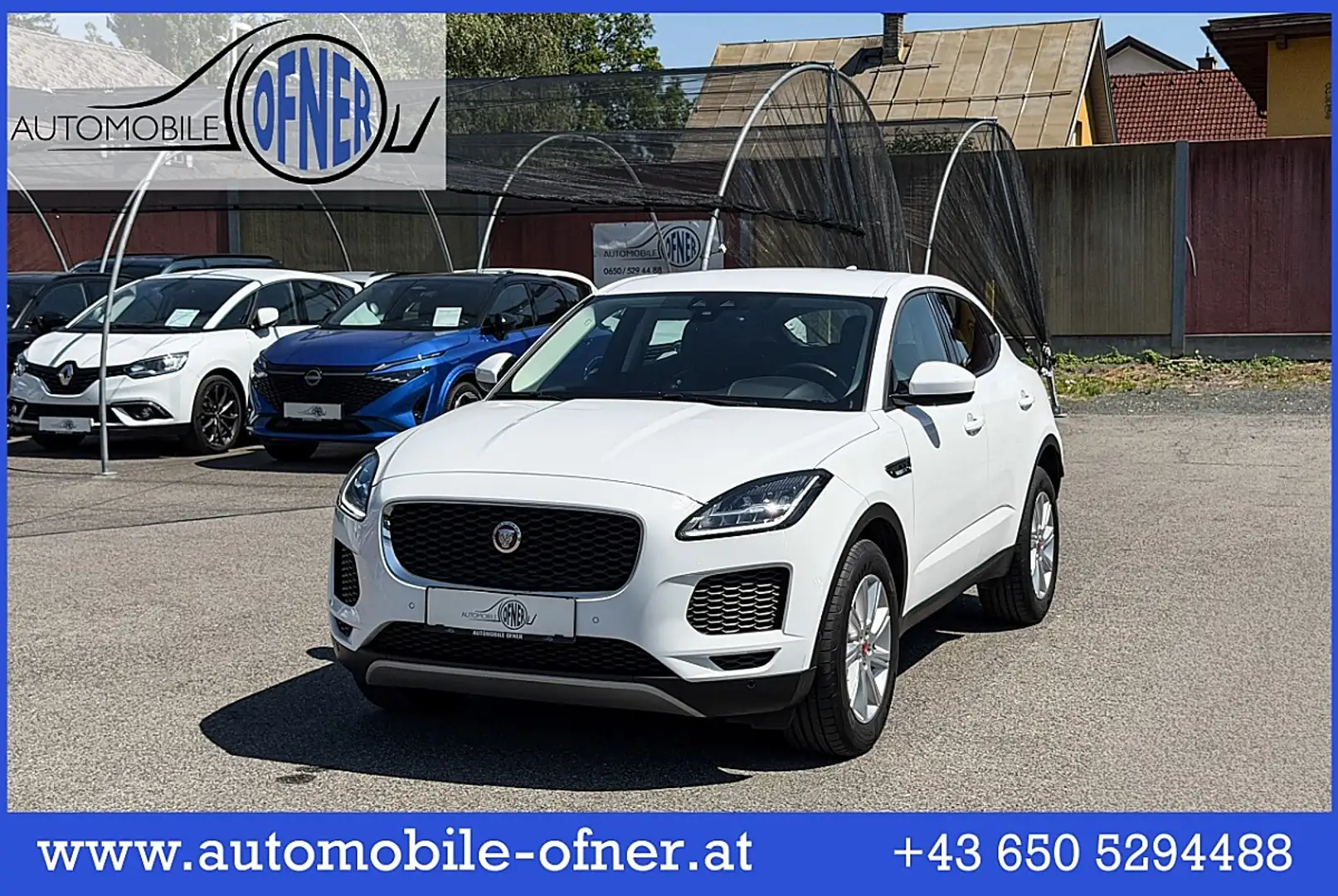 Jaguar E-Pace 2.0DI4 D180 S AWD Aut. LED PDC Kamera Sitz&Lenk... Weiß - 1