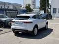 Jaguar E-Pace 2.0DI4 D180 S AWD Aut. LED PDC Kamera Sitz&Lenk... Weiß - thumbnail 4
