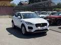 Jaguar E-Pace 2.0DI4 D180 S AWD Aut. LED PDC Kamera Sitz&Lenk... Weiß - thumbnail 3