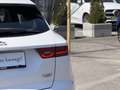 Jaguar E-Pace 2.0DI4 D180 S AWD Aut. LED PDC Kamera Sitz&Lenk... Weiß - thumbnail 30