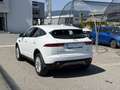 Jaguar E-Pace 2.0DI4 D180 S AWD Aut. LED PDC Kamera Sitz&Lenk... Weiß - thumbnail 6