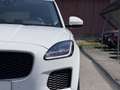 Jaguar E-Pace 2.0DI4 D180 S AWD Aut. LED PDC Kamera Sitz&Lenk... Weiß - thumbnail 29
