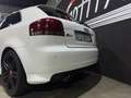 Audi S3 MANUALE MOTORE SOSTITUITO CON 125000 KM Blanco - thumbnail 7