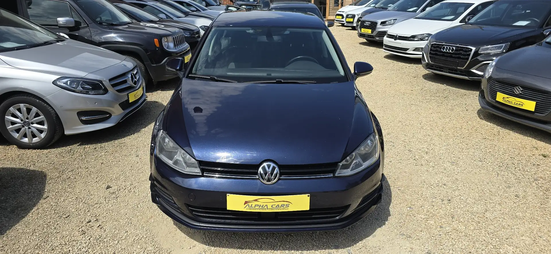 Volkswagen Golf 1.6 CR TDi 4Motion Trendline Blauw - 2