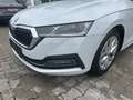 Skoda Octavia Combi 2.0TDI 7-Gang FIRST EDITION*VC*LED*HEAD-UP Blanc - thumbnail 25