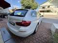 BMW 520 520d xdrive Business 190cv auto Blanc - thumbnail 6