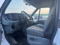 Ford Transit 350 - 2.2 TDCI - FRIGO - Blanc - thumbnail 10