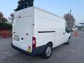 Ford Transit 350 - 2.2 TDCI - FRIGO - Bianco - thumbnail 7