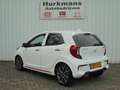 Kia Picanto 1.2i 4 CILINDER GT-LINE ZEER COMPLEET !! Weiß - thumbnail 6