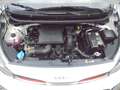 Kia Picanto 1.2i 4 CILINDER GT-LINE ZEER COMPLEET !! Weiß - thumbnail 41