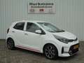 Kia Picanto 1.2i 4 CILINDER GT-LINE ZEER COMPLEET !! Weiß - thumbnail 3