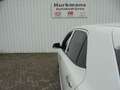 Kia Picanto 1.2i 4 CILINDER GT-LINE ZEER COMPLEET !! Weiß - thumbnail 12