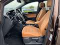 Volkswagen Touran 2.0 TDI DSG Highline Pano+LED+ACC+Navi+Winterpak Braun - thumbnail 20