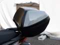 Honda Forza 125 B196 Führerschein LED SCHEINWERFER Grijs - thumbnail 10