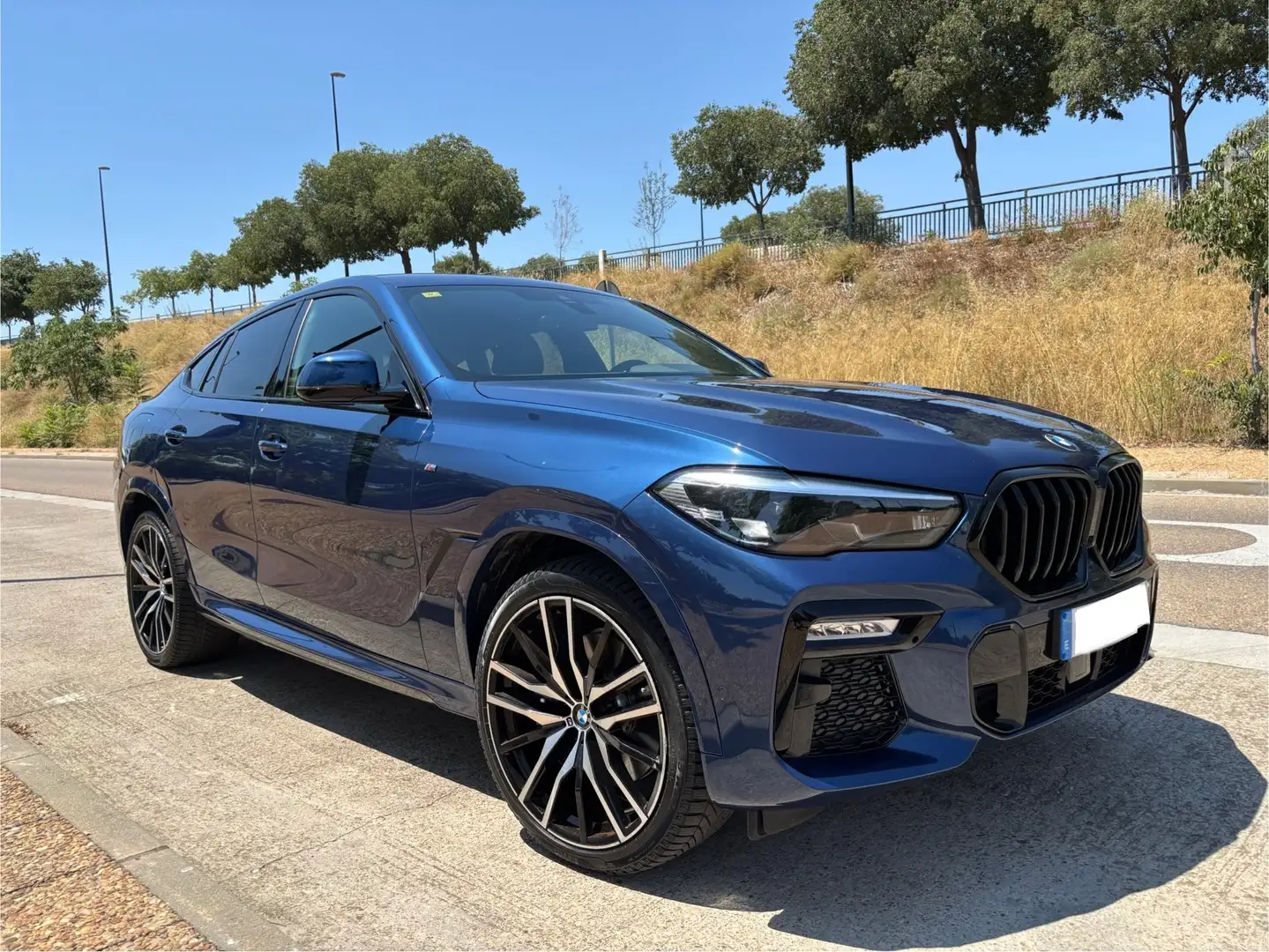 BMW X6 X6 xDrive 30dA Azul - 2
