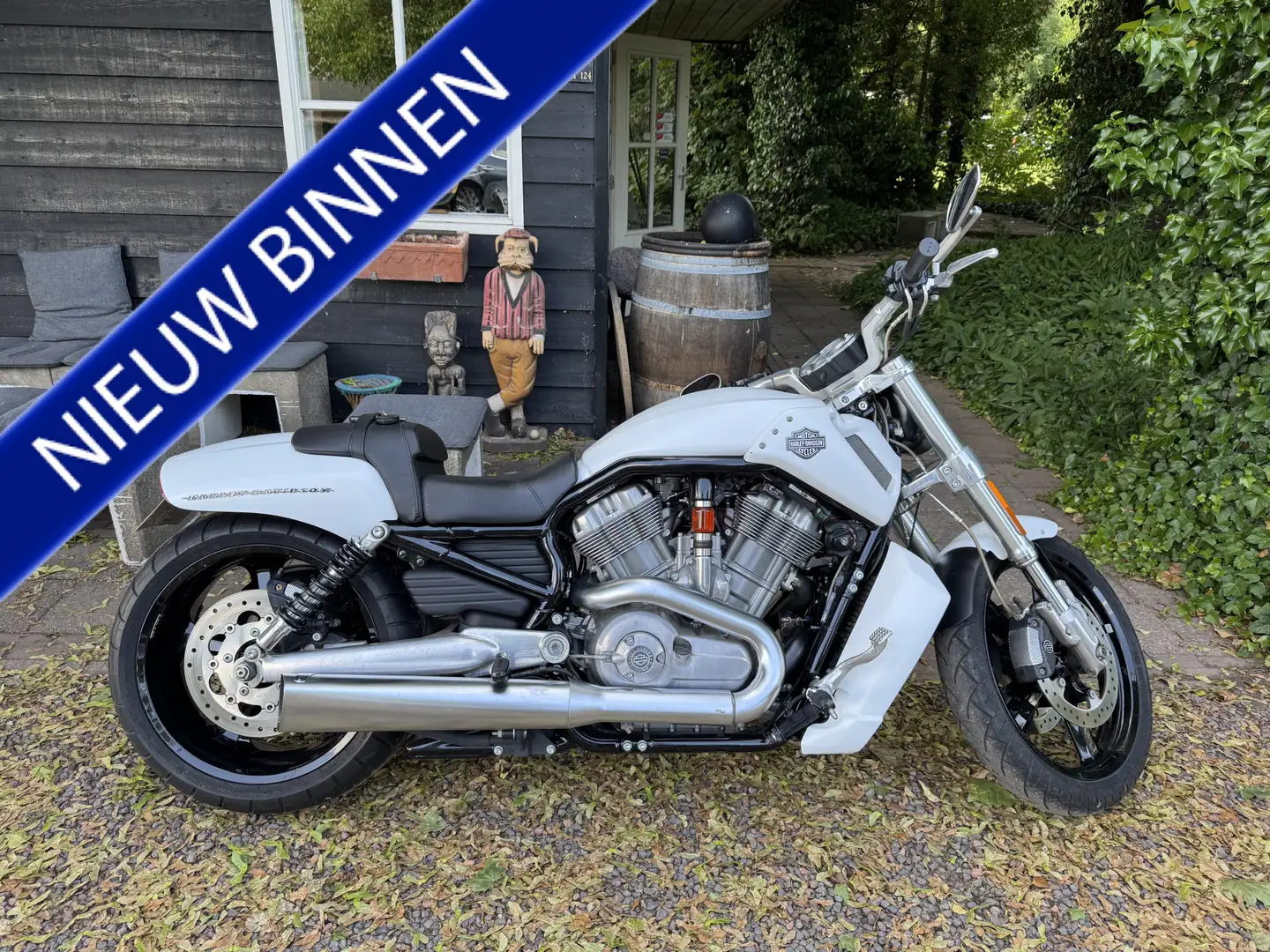 Harley-Davidson V-Rod VRSCF MUSCLE 5HD|STAGE.1 - 1