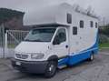 Renault Master Camion Trasporto cavalli con living bijela - thumbnail 5