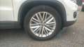 Volkswagen Tiguan 2.0 TDi 140 Cup Wit - thumbnail 17