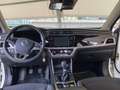 SsangYong Korando Korando IV 2021 1.6 Dream 2wd Bianco - thumbnail 3