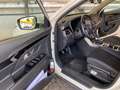 SsangYong Korando Korando IV 2021 1.6 Dream 2wd Bianco - thumbnail 4