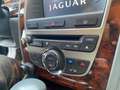 Jaguar XK XK 4.2 V8 Niebieski - thumbnail 13