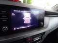 Skoda Kamiq 1.0 TSI 95 CV STYLE Bianco - thumbnail 13
