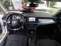 Skoda Kamiq 1.0 TSI 95 CV STYLE Blanc - thumbnail 10