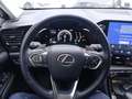 Lexus NX 350h II 2022 350h 2.5 Premium 4wd 244cv e-cvt Grigio - thumbnail 15