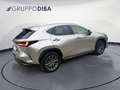 Lexus NX 350h II 2022 350h 2.5 Premium 4wd 244cv e-cvt Grigio - thumbnail 5