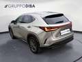 Lexus NX 350h II 2022 350h 2.5 Premium 4wd 244cv e-cvt Grigio - thumbnail 7