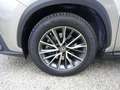 Lexus NX 350h II 2022 350h 2.5 Premium 4wd 244cv e-cvt Grigio - thumbnail 9