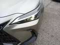 Lexus NX 350h II 2022 350h 2.5 Premium 4wd 244cv e-cvt Grigio - thumbnail 10