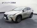 Lexus NX 350h II 2022 350h 2.5 Premium 4wd 244cv e-cvt Grigio - thumbnail 1