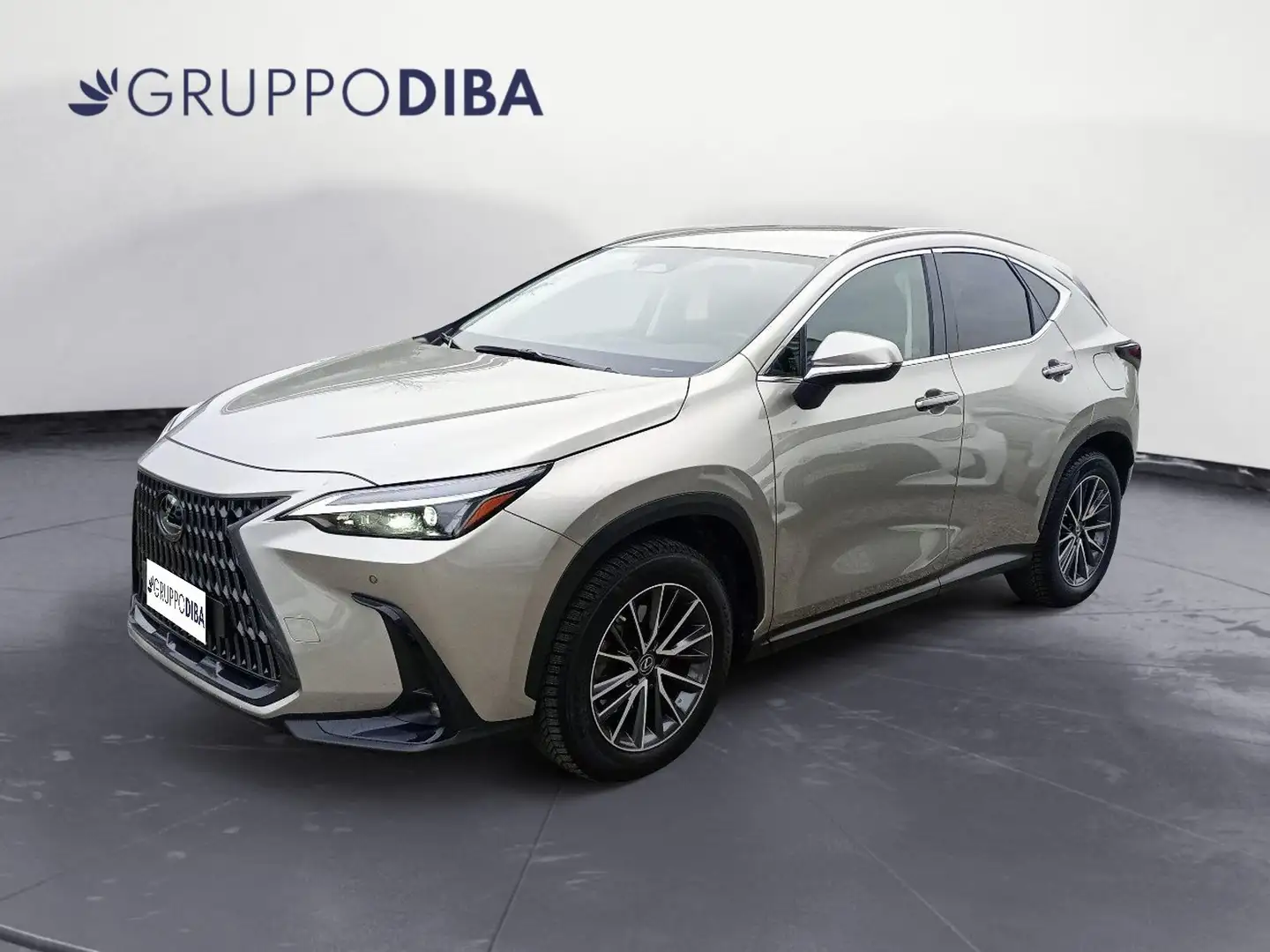 Lexus NX 350h II 2022 350h 2.5 Premium 4wd 244cv e-cvt Grigio - 1