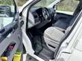 Volkswagen T5 Transporter T5 Kastenwagen 1,9 TDI Economy Weiß - thumbnail 11